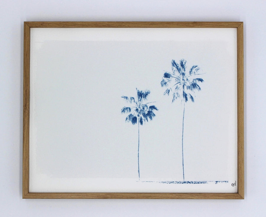 Duo de palmiers bleus